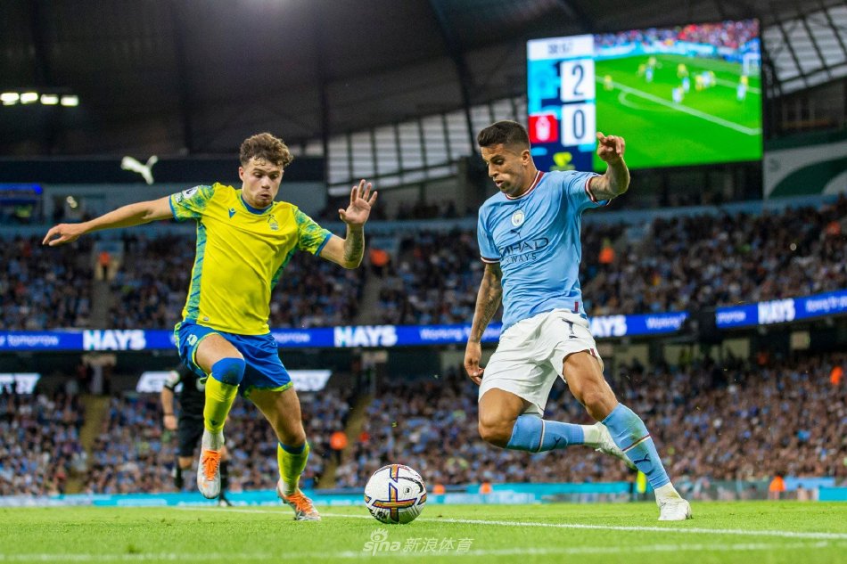 可与感激 可与感激